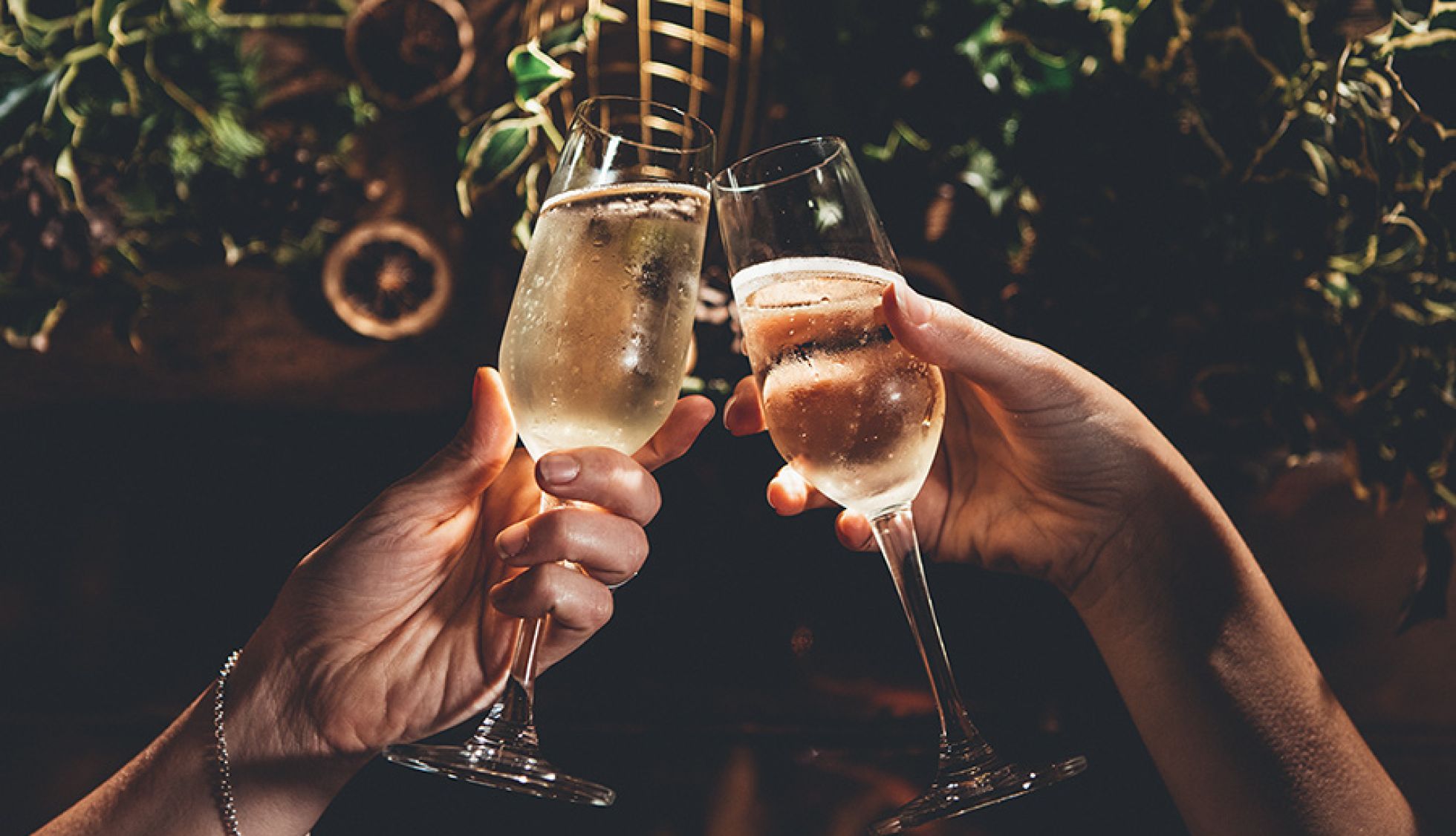 Christmas Cheers